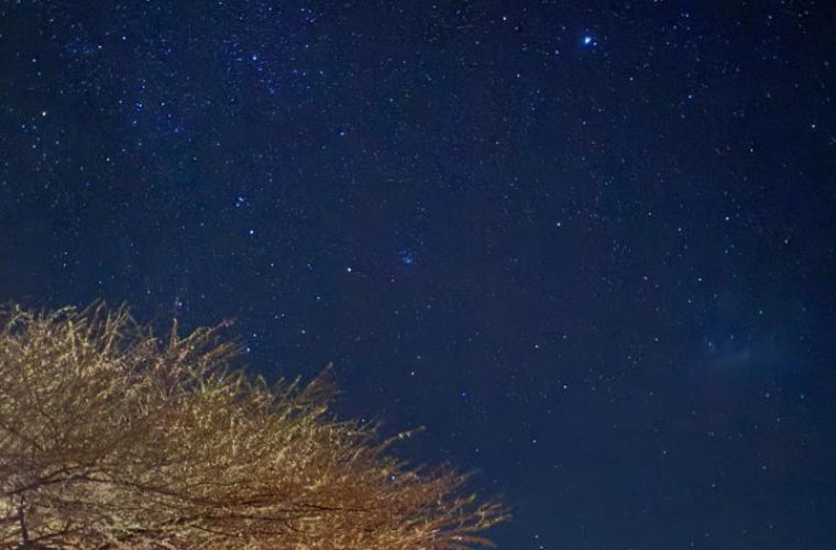 stargazing